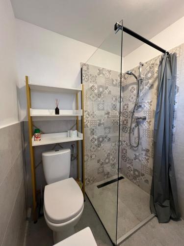 a bathroom with a toilet and a shower at Agroturystyka Uroczysko Kostomłoty in Kostomłoty
