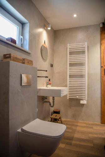 a bathroom with a toilet and a sink at Pod Lwią Górą in Strużnica