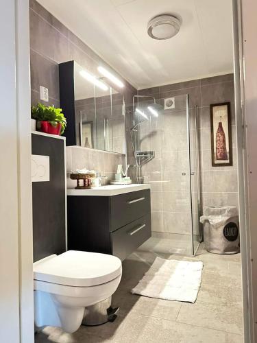 a bathroom with a toilet and a sink and a shower at Banpim Aroradome and jacusszy in Gravdal