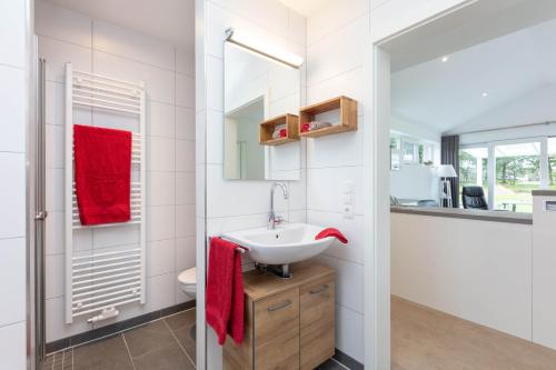 a bathroom with a sink and a mirror at Haus 21 am See in Schüttorf