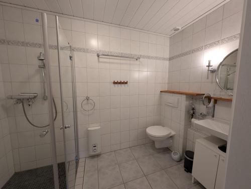 a bathroom with a shower and a toilet and a sink at Seemöwe im Haus Windrose in Butjadingen