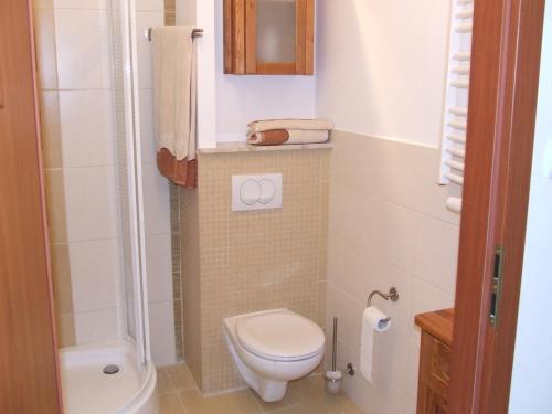 a small bathroom with a toilet and a shower at Zdrojowa 26 Apartament 35 in Świnoujście