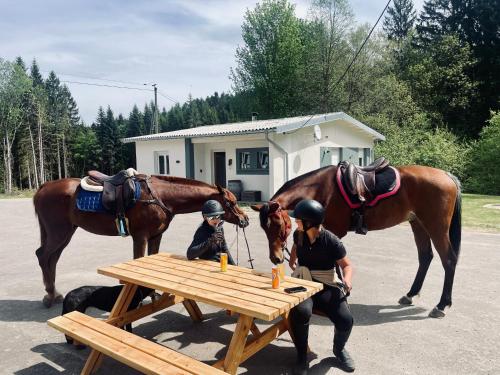 two people and two horses standing next to a picnic table at Rockin 70's Lodges in Barbey-Séroux
