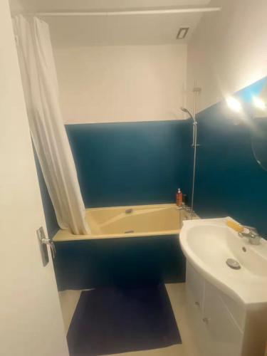 Grand appartement T2 - Centre historique