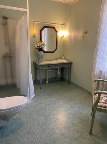 a bathroom with a sink and a toilet and a mirror at Hotell Tussilago i Essunga in Nossebro