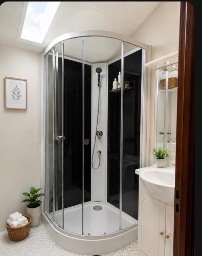 a bathroom with a shower and a sink at Gites de Source in Châtenet
