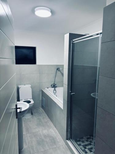 a bathroom with a toilet and a sink and a shower at The Penguin Nest in Gaborone