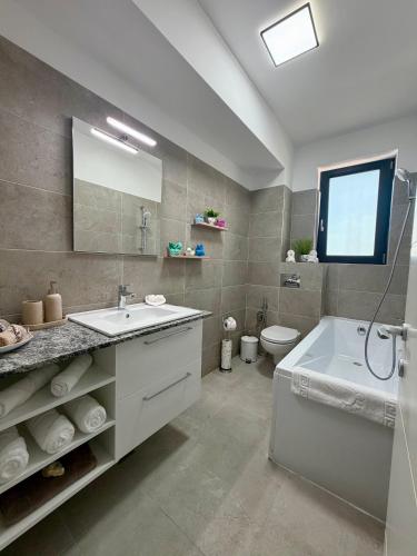 a bathroom with a sink and a tub and a toilet at ND Central Apartment in Râmnicu Vâlcea
