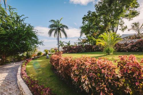 a garden with bushes and trees and a road at Hotel Montana in Petionville