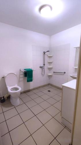 a white bathroom with a toilet and a sink at La ferme de la fontaine in Douzy