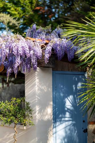 Hôtel Beau Site - Cap d'Antibes photo 35