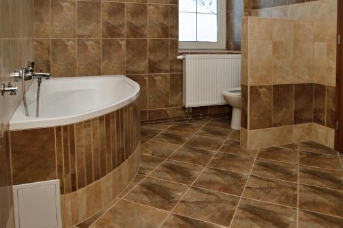 Vannituba majutusasutuses Apartments Střed Jáchymov