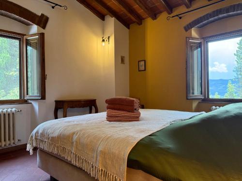 a bedroom with a bed and two windows at Villa Fioriamo in Greve in Chianti