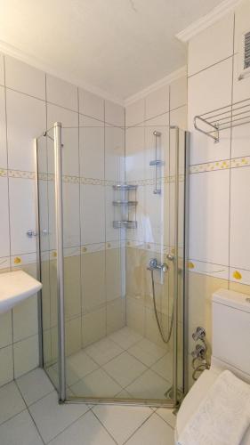 a shower with a glass door in a bathroom at Aydos Hotels & Breeze Restaurant in Dalyan