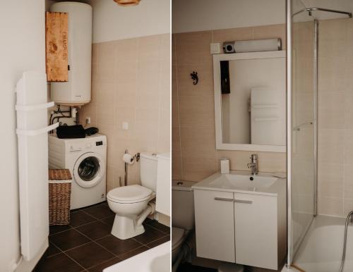a bathroom with a toilet sink and a washing machine at Le Classique in Saint-Sulpice-le-Guérétois