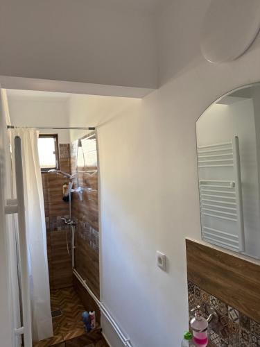 a bathroom with a mirror and a shower at Domeniul Ursului in Valea Stejarului