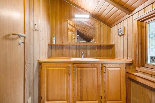 a bathroom with a sink and a mirror at FJ1602-Jaegerspris-Strandmarksvej-37 in Jægerspris