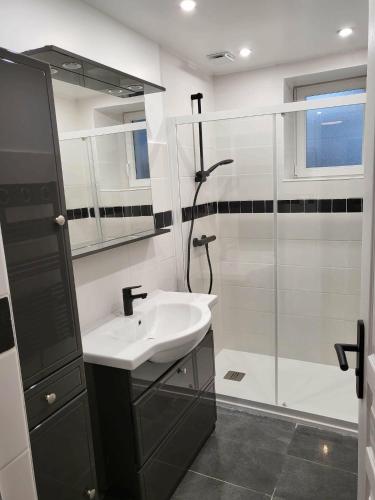 a bathroom with a sink and a shower at La Cantraigne in Audembert