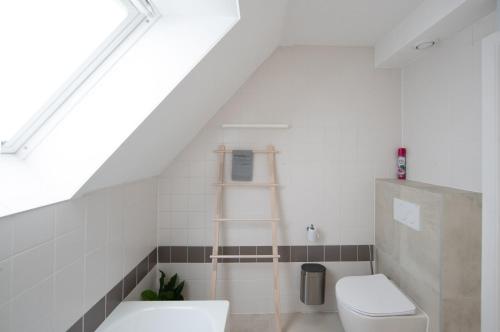 a bathroom with a toilet and a ladder at Cozy apartment with a great location at "Residentie GAUGUIN" in Nieuwpoort