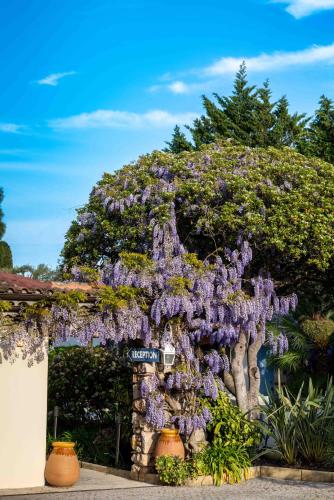 Hôtel Beau Site - Cap d'Antibes photo 52