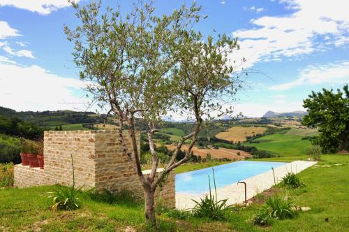 a tree next to a brick wall and a swimming pool at Borgo Farneto in Montecarotto