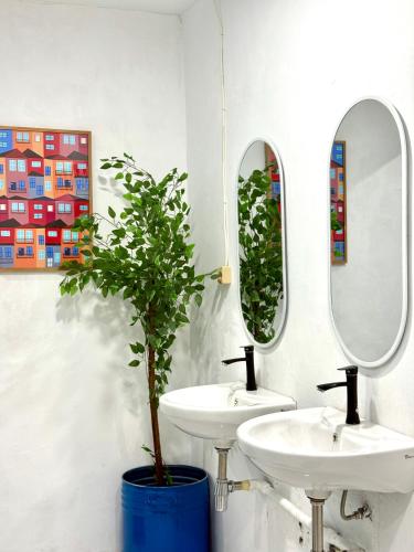 a bathroom with two sinks and a potted plant at HHHH Hostel in Banyuwangi