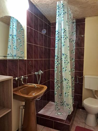 a bathroom with a sink and a toilet and a shower at Domki Wakacyjne nad Jeziorem in Janowice