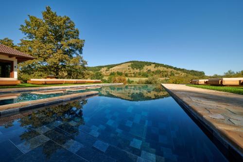 a pool of water with a mountain in the background at Hunter's Mansion - Transylvania in Gorgan