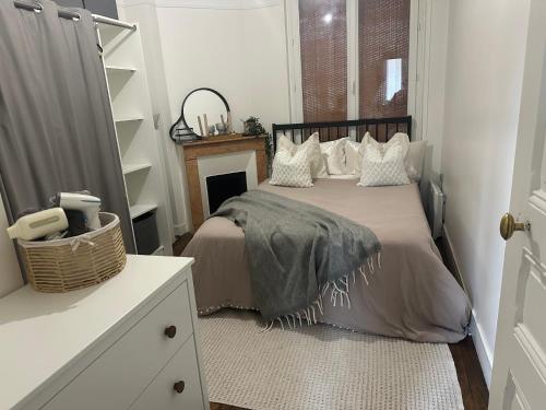 sublime appartement en plein coeur de paris