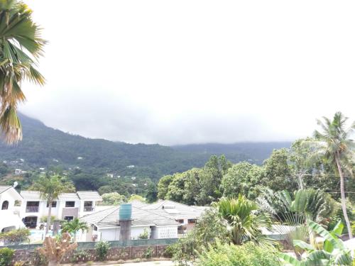 a view of a city with palm trees and a mountain at Flower Garden Self-Catering Apartments in Beau Vallon