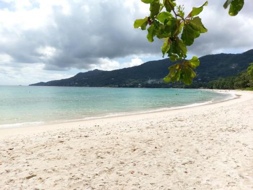a beach with the ocean and mountains in the background at Flower Garden Self-Catering Apartments in Beau Vallon