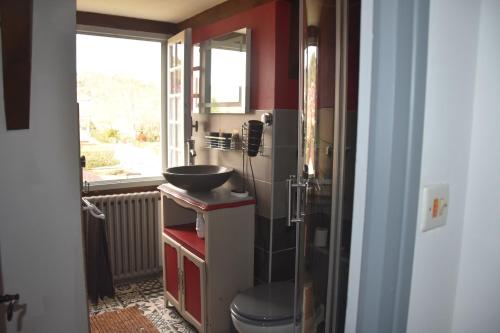 a bathroom with a sink and a toilet and a mirror at Pause Périgord in Saint-Cyprien