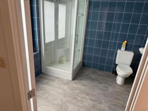 a blue tiled bathroom with a toilet and a glass shower at 1 Grande Chambre Frigo privé in Charleroi