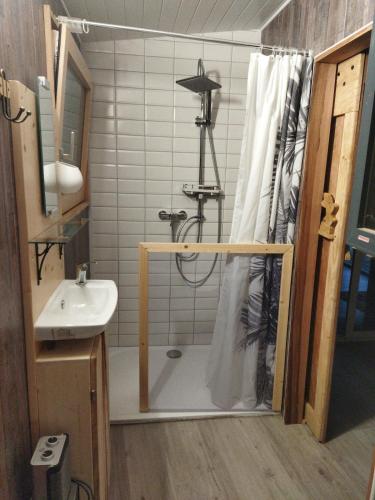 a bathroom with a shower and a sink at Tiny House cosy, jardin romantique forestier, route du vin, sentiers in Lalaye