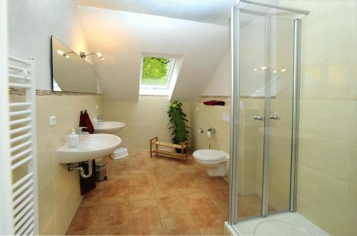 a bathroom with a toilet and a sink and a shower at KASTANIENHOF I in Burg