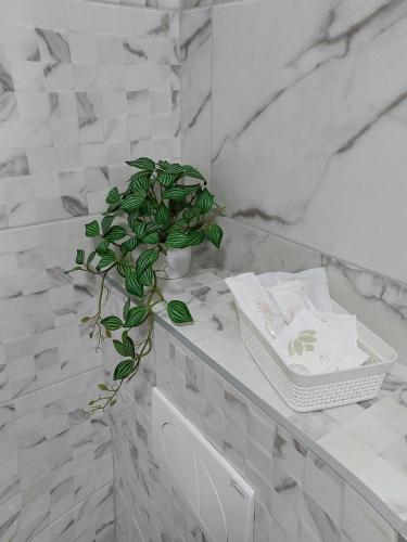 a green plant sitting on a counter in a bathroom at Apartman Gordana i Andreas in Banja Koviljača