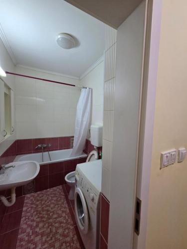ein Badezimmer mit Waschbecken und Waschmaschine in der Unterkunft SaDa Centar in Apatin