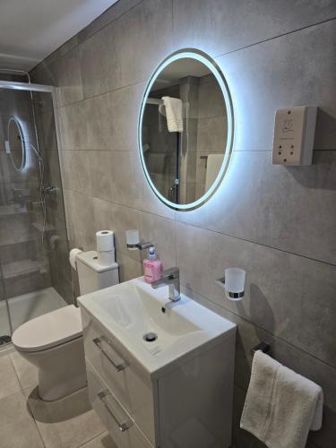 a bathroom with a sink and a toilet and a mirror at Dunderry Lodge Luxury Suites in Navan