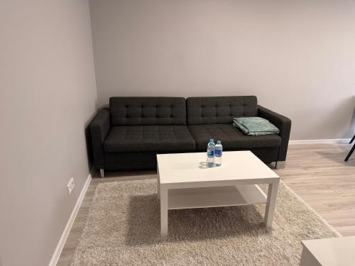 a living room with a couch and a coffee table at Apartment Ventos 55 in Mažeikiai