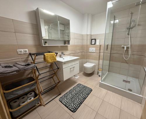 a bathroom with a shower and a sink and a toilet at Villa Vita - MELANI in Slovenj Gradec