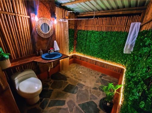 a bathroom with a toilet and a green wall at Glamping villeta campo heliconias in Villeta