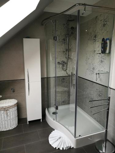 a shower with a glass door in a bathroom at Agroturystyka Pod Czaplami in Pieniężno