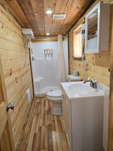 a bathroom with a toilet and a sink at Rimrock Lodge LLC in Thompson Falls
