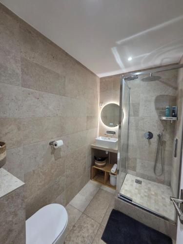 a bathroom with a shower and a toilet and a sink at Studio cosy devant RER B TGV Massy SNCF in Massy