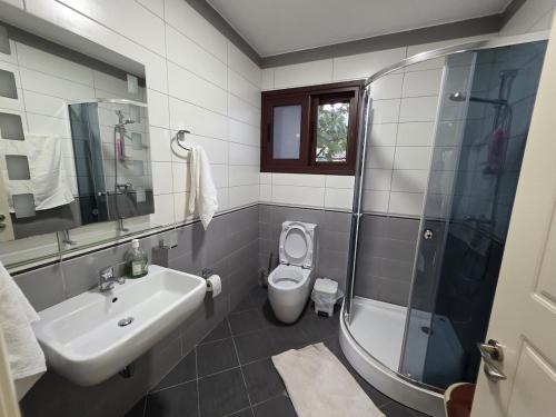 a bathroom with a toilet and a sink and a shower at N'Gegaj Villa in Shkodër