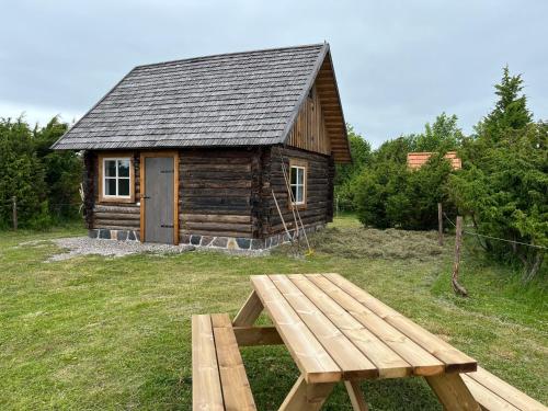 a wooden cabin with a picnic table in front of it at Heinaküün - magamine heinalakas in Pärna