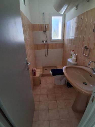 a bathroom with a sink and a shower and a toilet at Santoni House in Ghisoni