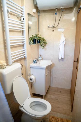 a bathroom with a toilet and a sink at Aria garden house in Loborika