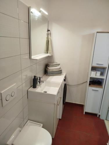 a bathroom with a toilet and a sink and a mirror at Marko in Fažana