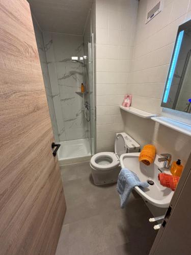 a bathroom with a shower and a toilet and a sink at Frühstückspension Danklmaier in Assachberg